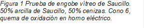 Figura 4 Prueba de engobe vítreo de Saucillo. 50% arcilla de Saucillo, 50% cenizas. Cono 6, quema de oxidación en horno eléctrico.