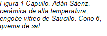 Figura 9 Capullo. Adán Sáenz. cerámica de alta temperatura, engobe vítreo de Saucillo. Cono 6, quema de sal..